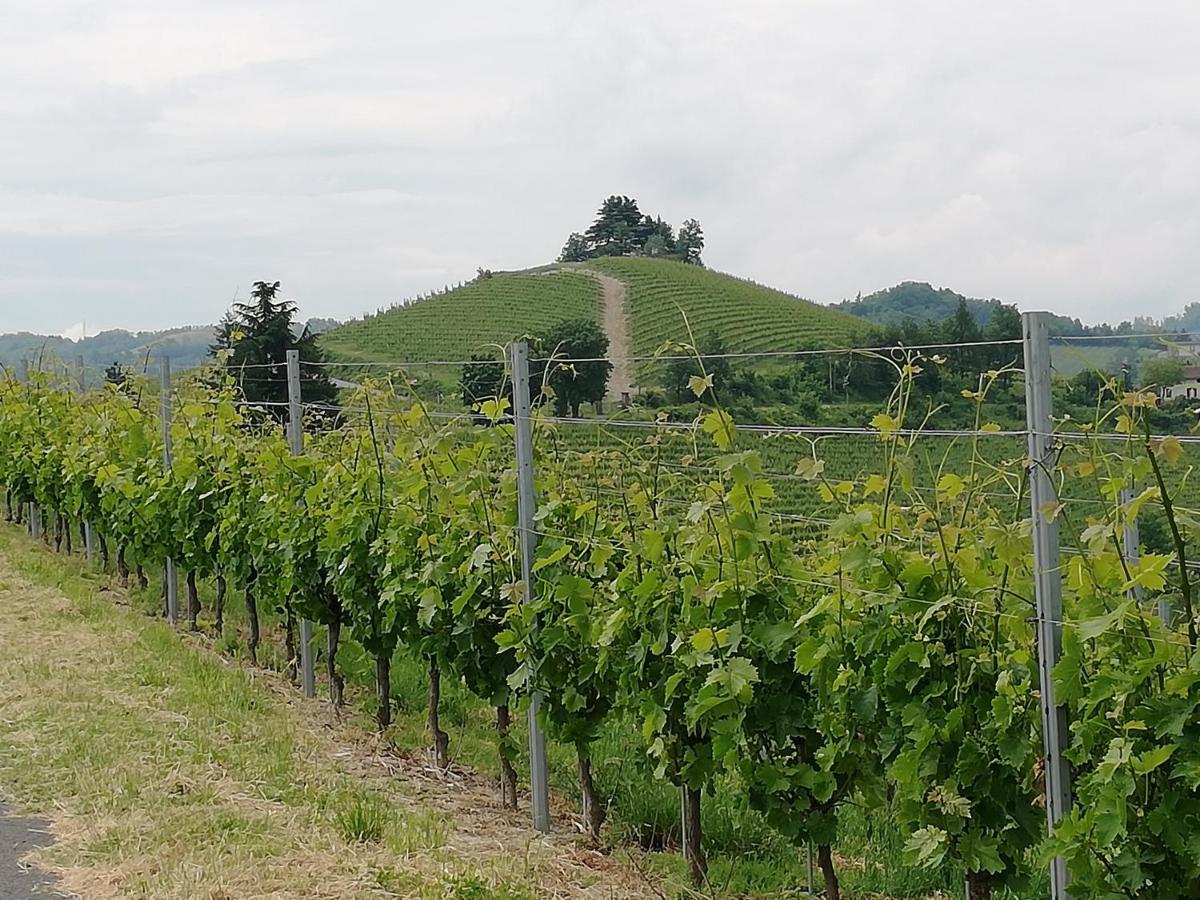 La Giribaldina Winery & Farmhouse Calamandrana Екстериор снимка