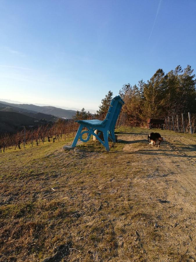 La Giribaldina Winery & Farmhouse Calamandrana Екстериор снимка