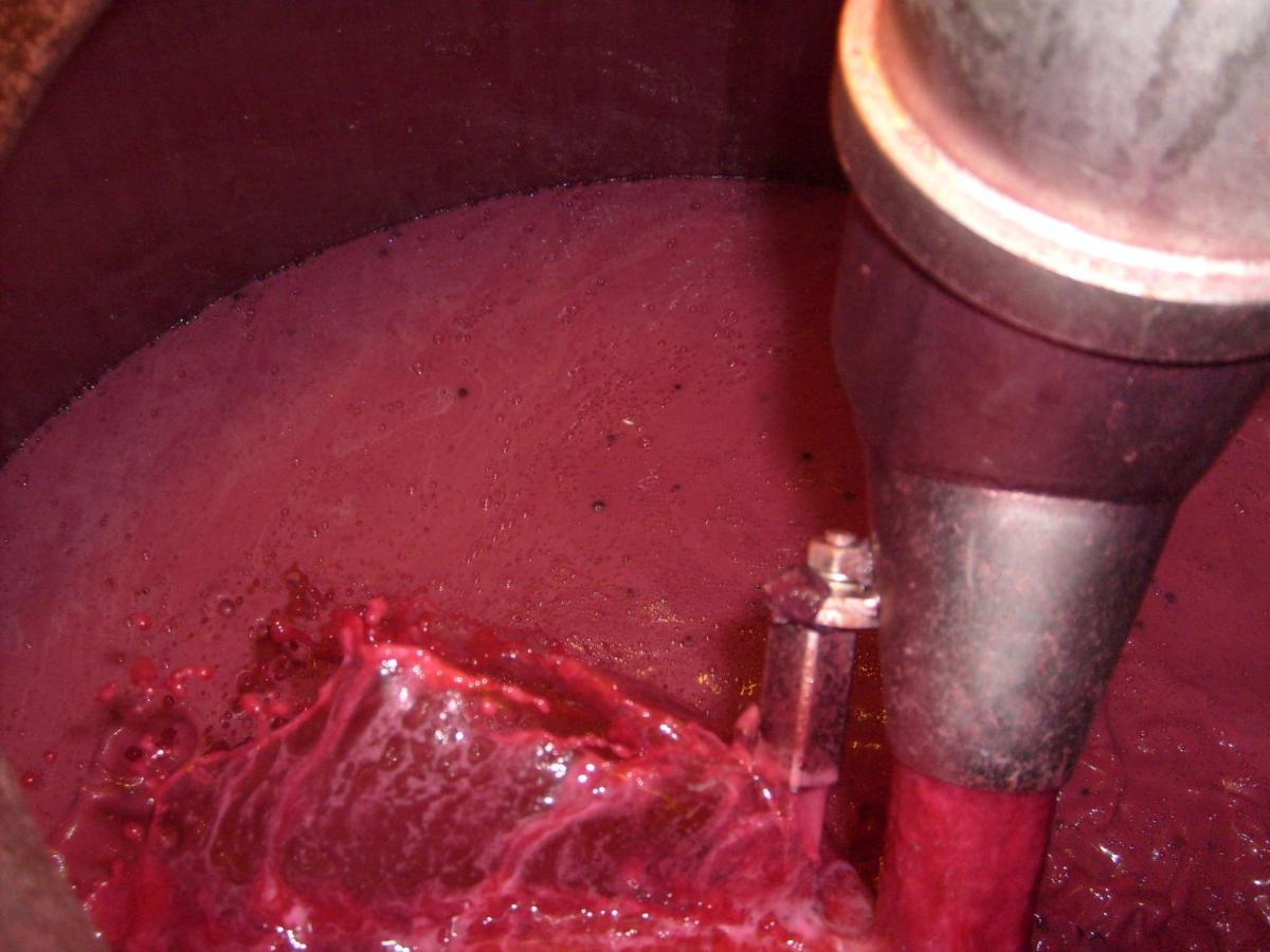 La Giribaldina Winery & Farmhouse Calamandrana Екстериор снимка