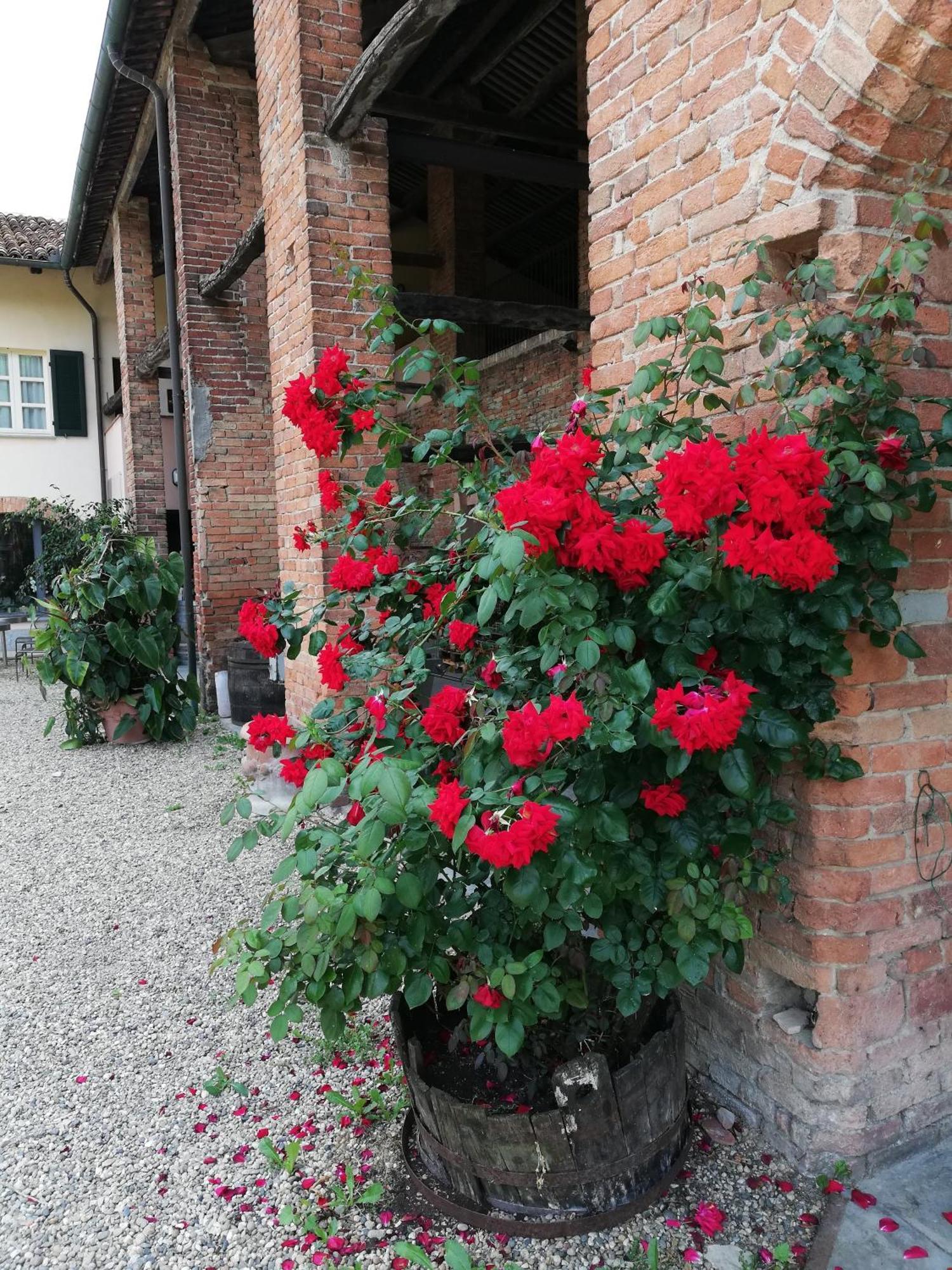 La Giribaldina Winery & Farmhouse Calamandrana Екстериор снимка
