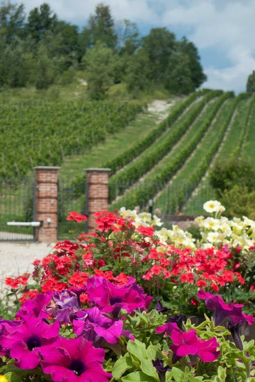 La Giribaldina Winery & Farmhouse Calamandrana Екстериор снимка